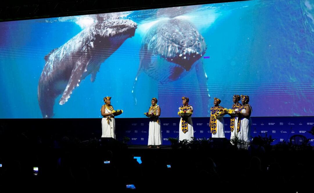 COP16 logra la aprobación del Fondo de Cali. Foto: AP