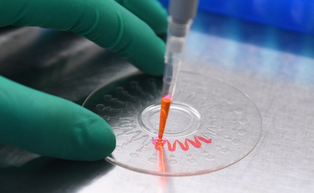 A technician demonstrating how to inject a nucleic acid sample onto a disk for analysis, in a lab – Photo: Greg Baker/AFP