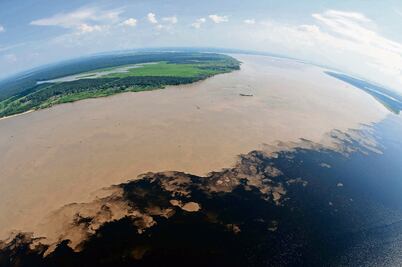 Descubren más de 5 mil nuevos virus de ARN en océanos