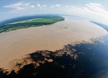 Descubren más de 5 mil nuevos virus de ARN en océanos
