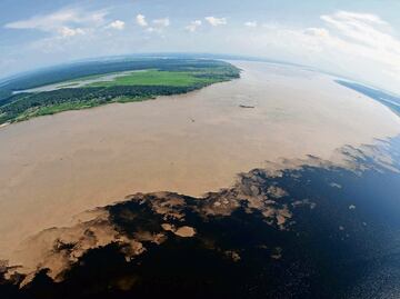 Descubren más de 5 mil nuevos virus de ARN en océanos