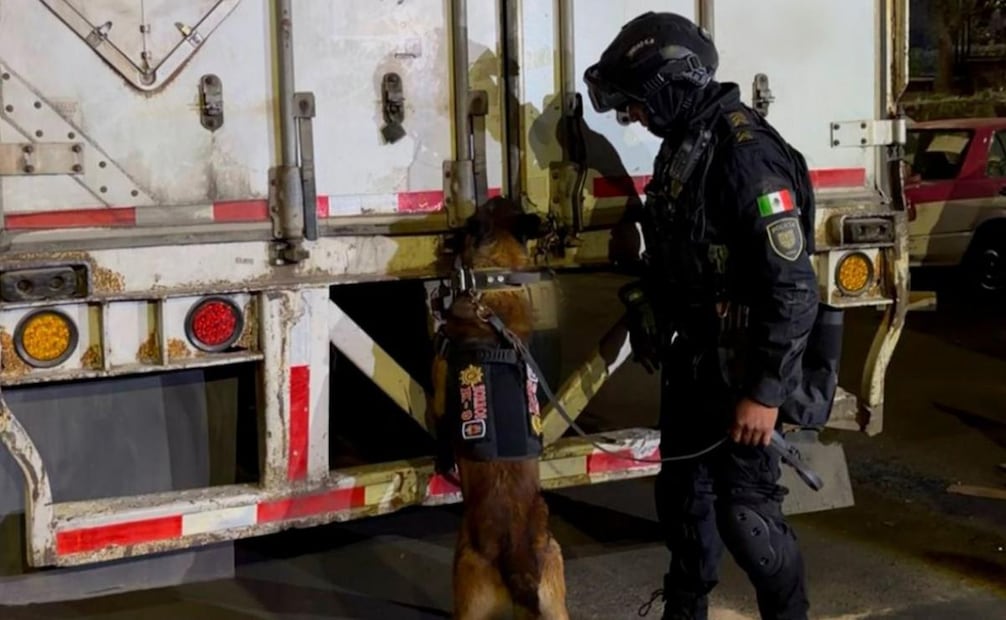 Droga perrito Samuel. (04/05/26) Foto: Gabinete de Seguridad de México @GabSeguridadMX