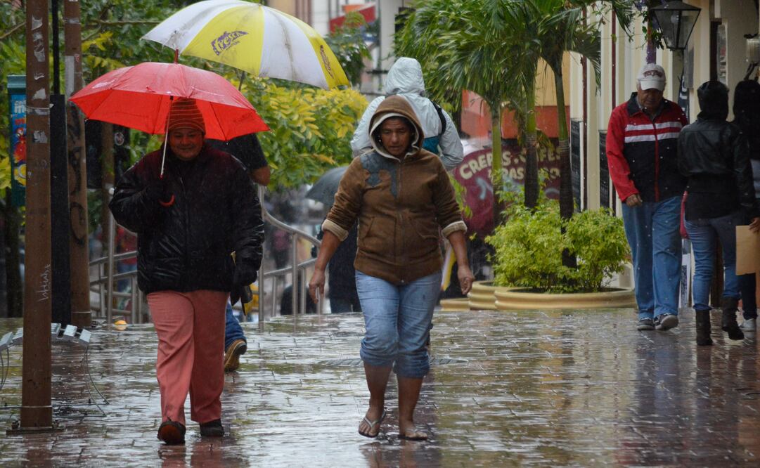 FOTO: DASSAEV TÉLLEZ ADAME | EL UNIVERSAL