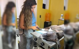 Balean a perrito en Valle de Chalco; intentó proteger a su dueño tras una riña