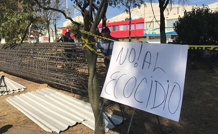 Derriban barda para impedir deforestación en Tlalnepantla