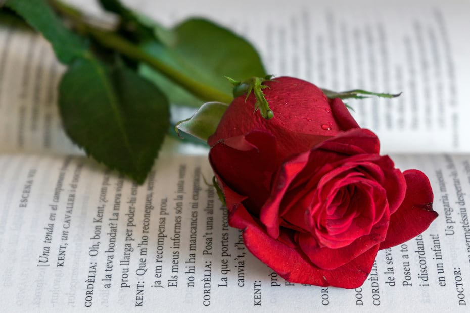 Los jóvenes regalan rosas y libros el 23 de abril. Foto: Unsplash