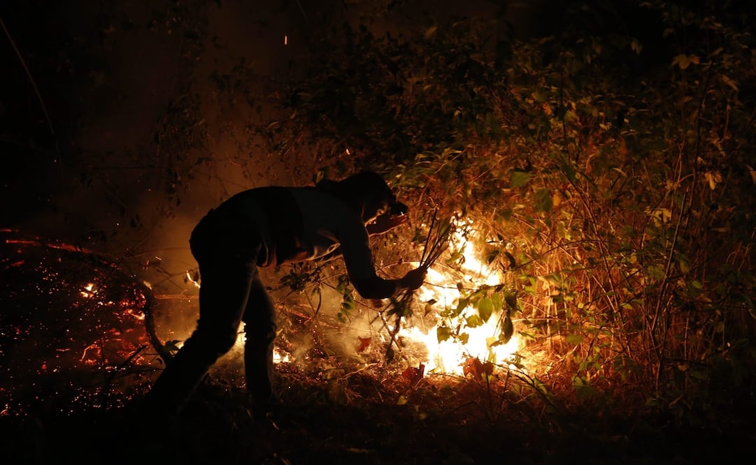 Foto: Archivo/EL UNIVERSAL.