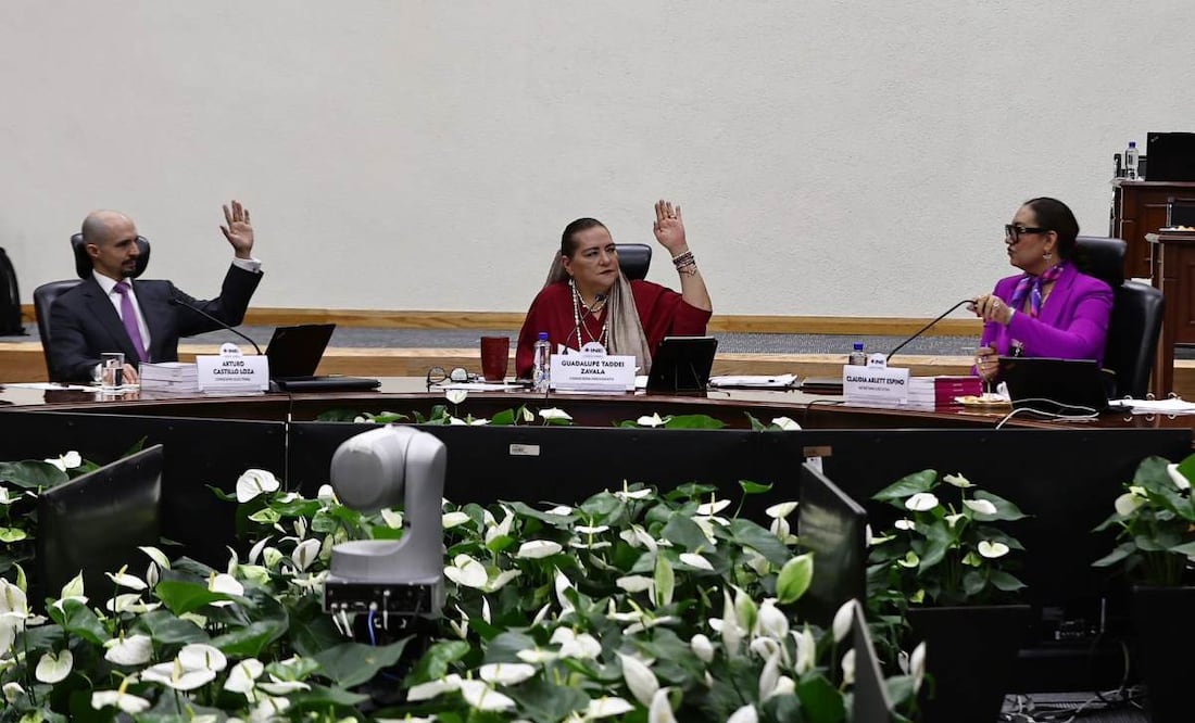 INE valida elección judicial; desestima uso de acordeones | El Universal