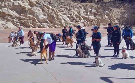 Imparten taller de adiestramiento canino en Tultepec