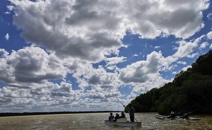 Por "austeridad", Comisión de Áreas Naturales Protegidas sin 75% de presupuesto