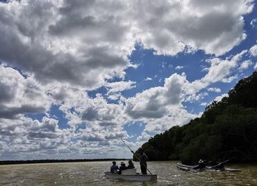 Por "austeridad", Comisión de Áreas Naturales Protegidas sin 75% de presupuesto