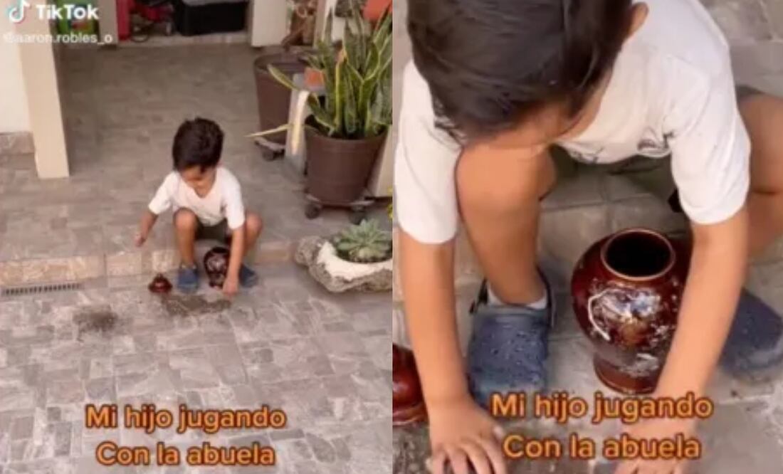 "Se llevan muy bien" es lo que se lee en la descripción del video. Imagen: TikTok (@aaron.robles_o)