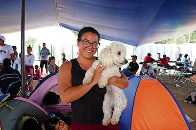 Extranjeros: “Todos esperan esos camiones porque son más baratos”