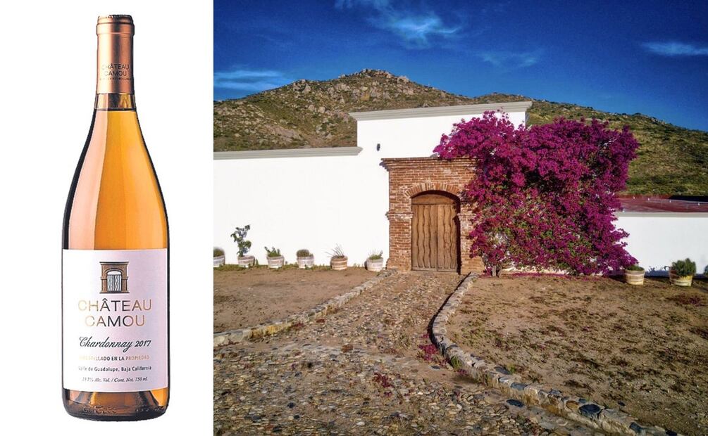 Aprender sobre vino mexicano, es ideal para cualquier sommelier. Foto: Especial