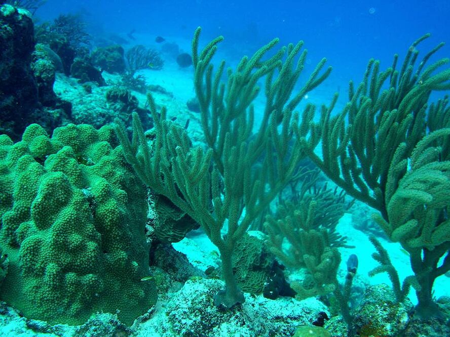 ARCHIVO. EL UNIVERSAL