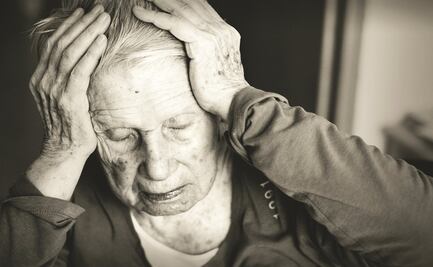 Científicos De Yucatán investigan saliva del pulpo rojo; tiene potencial contra el Alzheimer