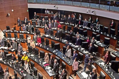 Para Julia Carabias la medalla Belisario Domínguez: Senado