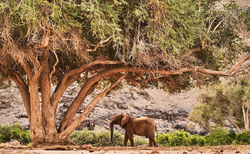 Imagen: Alberto Alcocer