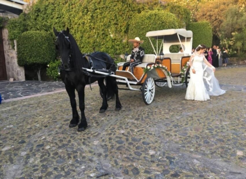 Qué son las bodas pop up y dónde se celebran en México