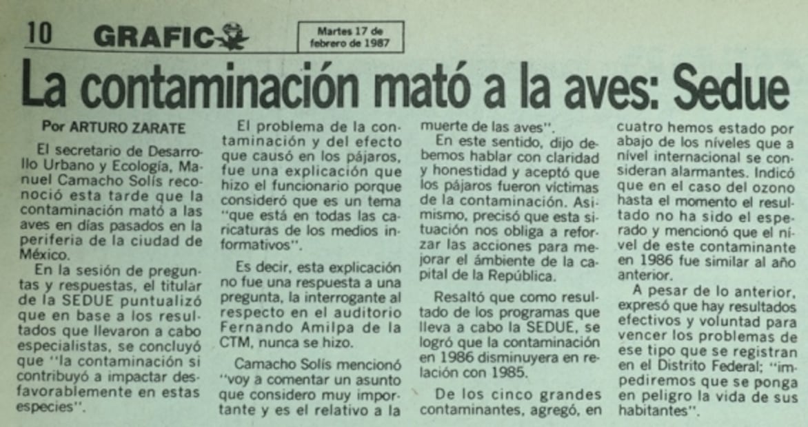 ¿Recuerdas cuando en 1987 murieron pájaros en el DF por contaminación?