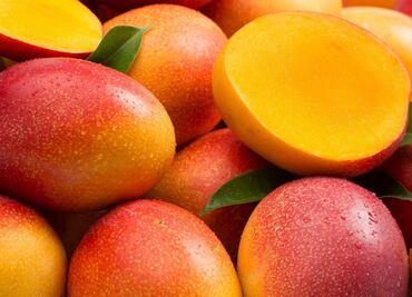 En riesgo café, mango y hasta mezcal por crisis de polinización