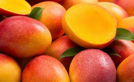 En riesgo café, mango y hasta mezcal por crisis de polinización