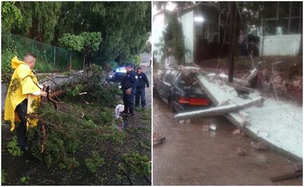 Tormenta eléctrica deja bardas y árboles caídos en Atizapán de Zaragoza