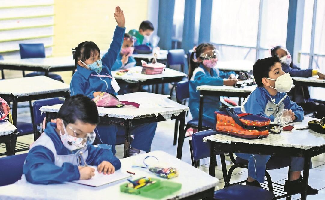  La SEP decidió no arrancar la implementación del pilotaje de los nuevos planes y programas de estudio para la educación básica.