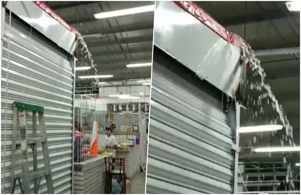 FOTO: Especial/ EL UNIVERSAL/