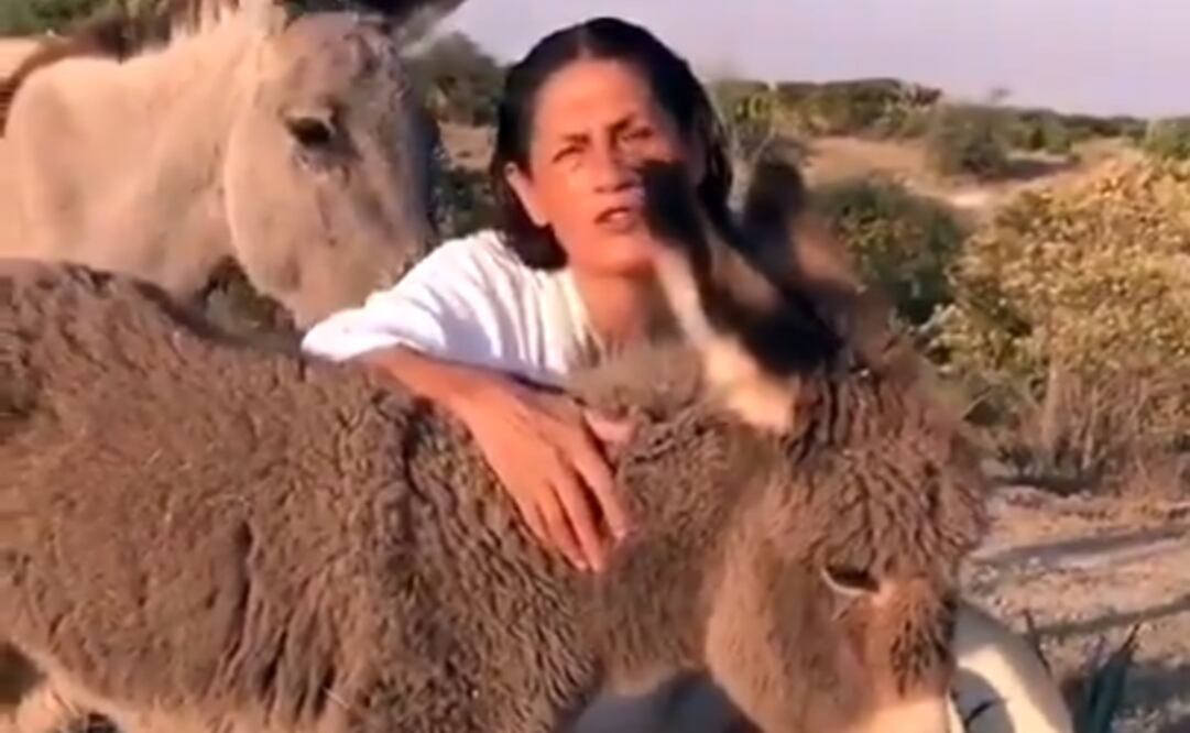 Foto: Captura de pantalla