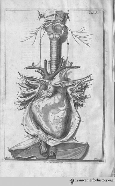 Descarga y colorea gratis dibujos seleccionados por Museos y bibliotecas