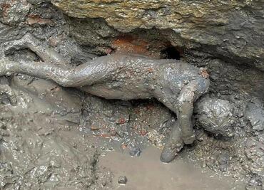 Rescatan 24 estatuas de bronce en el centro de Italia