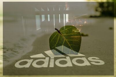 Los ecotenis del futuro