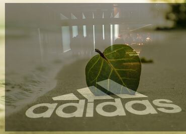 Los ecotenis del futuro