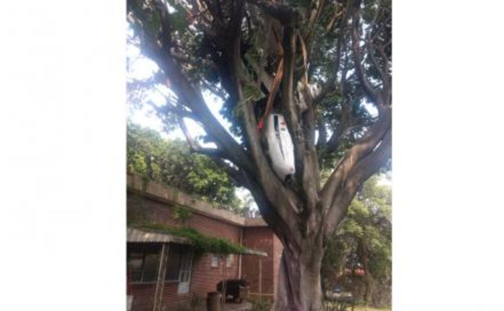 Cae avioneta de escuela de aviación en Cuernavaca; hay un herido