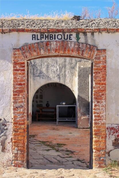 Para todo mal, sigue la Ruta del Mezcal en San Luis Potosí
