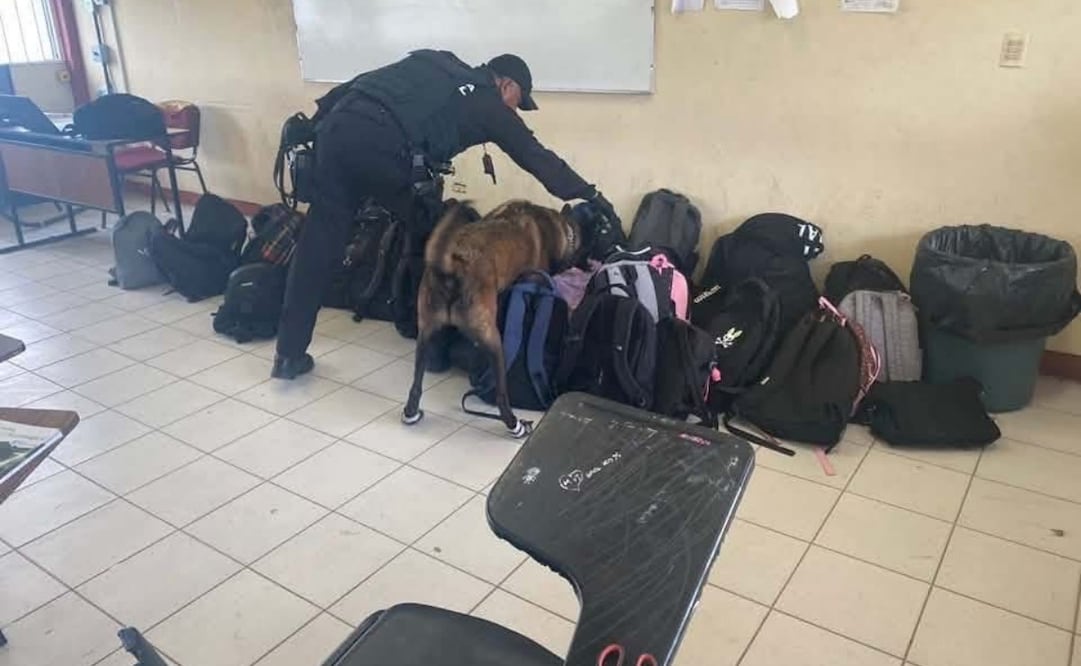 Guardia Estatal atiende al menos 10 reportes de amenazas en escuelas de Tamaulipas; despliegan binomios caninos.
Foto: Especial.