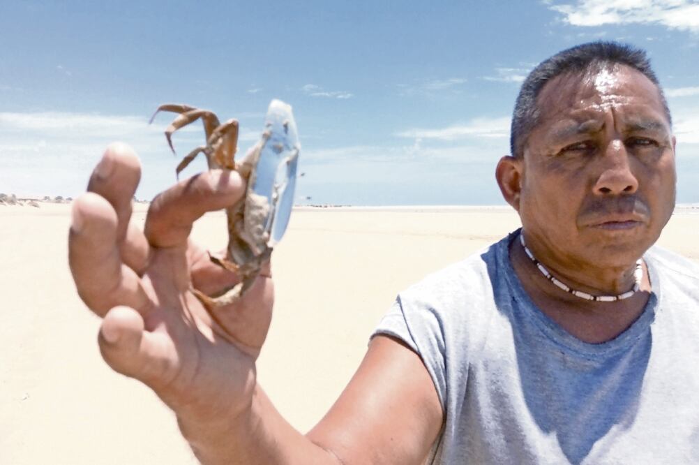 Pescadores del golfo de Santa Clara, como Martín Lucio Monroy, líder de un comité local, dicen que la veda decretada por el gobierno federal en 2015 ha aumentado la pesca ilegal de totoaba y la disputa entre grupos de traficantes (ALEJANDRO MELGOZ)