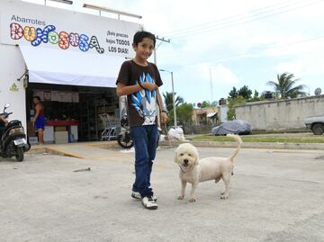 'Max', el perro saqueadorcito, "nos ha traído un cúmulo de alegrías", dicen familiares