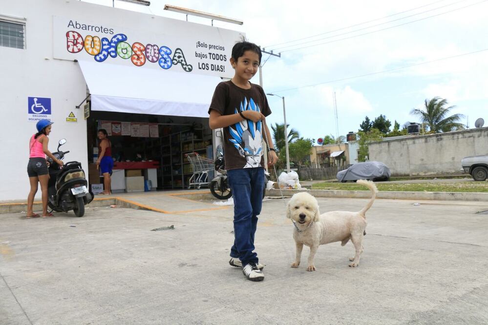Max, el perrito saqueadorcito , llegó a vivir con la familia Sosa Garma cuando tenía un mes de nacido. Dicen que hace un año mordió un sapo y estuvo a punto de morir, pero familiares con conocimientos de medicina lo salvaron. (CORTESÍA HAROLD ALCOCER BO)