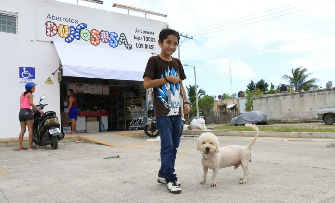 Max, el perrito saqueadorcito , llegó a vivir con la familia Sosa Garma cuando tenía un mes de nacido. Dicen que hace un año mordió un sapo y estuvo a punto de morir, pero familiares con conocimientos de medicina lo salvaron. (CORTESÍA HAROLD ALCOCER BO)