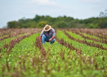 Sader y BID arrancan capacitación para mejorar ingresos de 44 mil productores