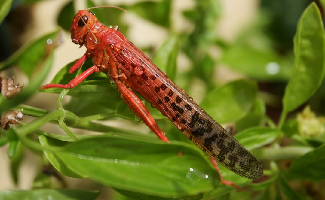 Foto: EFE/JUAN MEDINA