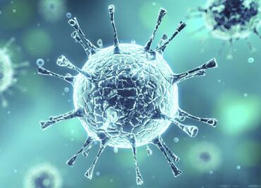 Hallan la molécula culpable de expandir las células tumorales