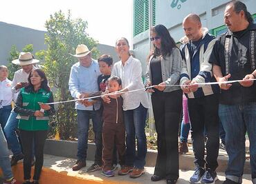 Alertan de graves daños en los bosques de Milpa Alta