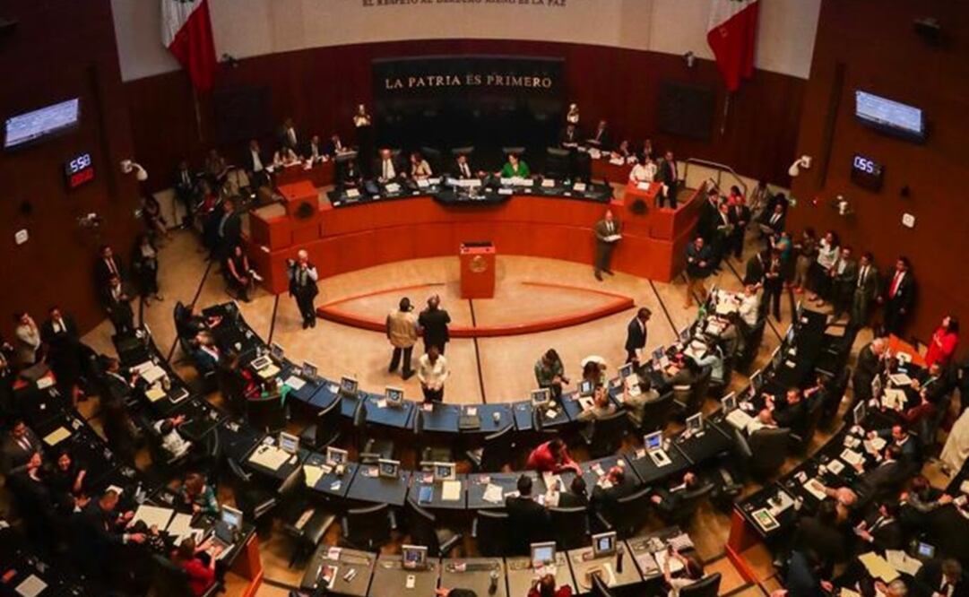 Senado de la República. Foto: Diego Simón/EL UNIVERSAL