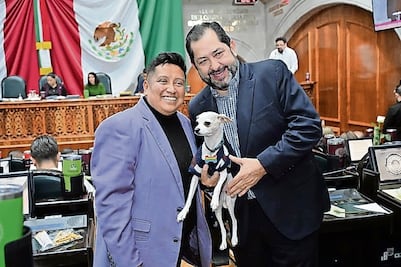 Aprueban ley de protección animal para el Edomex
