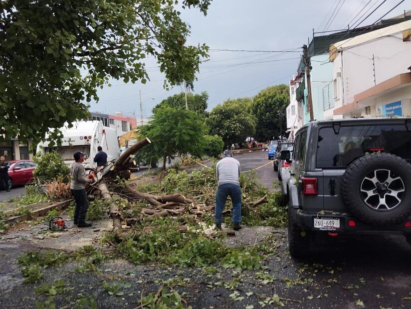 Una intensa granizada afectó la zona metropolitana de Puebla. Se reportan árboles, postes y espectaculares caídos. (Foto: especial)