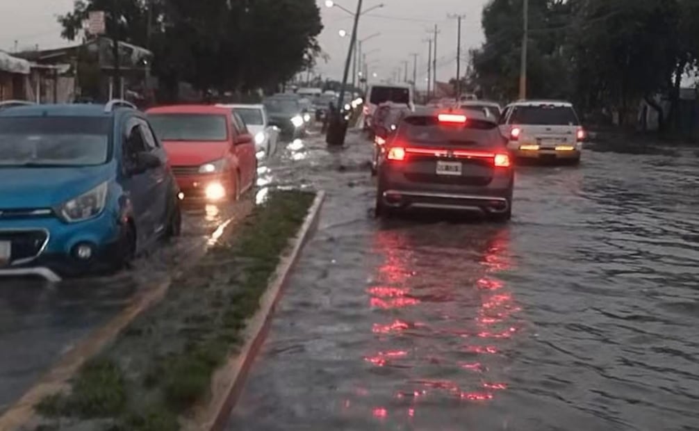 Lluvias generan afectaciones en CDMX; reportan encharcamientos, árboles caídos y viviendas dañadas.
Foto: Especial.