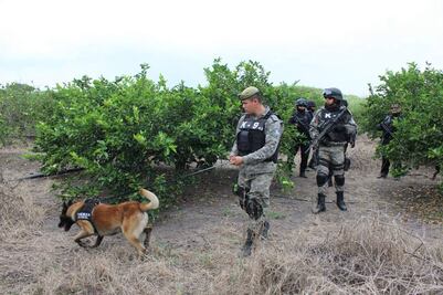 Buscan a desaparecidos de Veracruz en Oaxaca